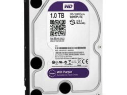Western Digital Purple 1TB SATA Hard Drive - 3.5", 5400rpm