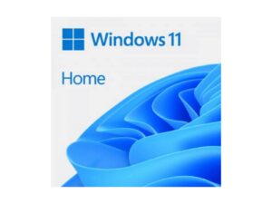 Windows 11 Home ESD – 1 device (Download)