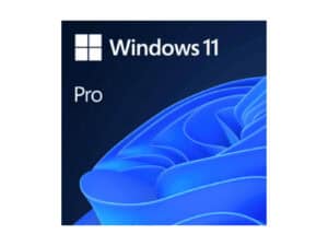 Windows 11 Pro DVD – 1 User
