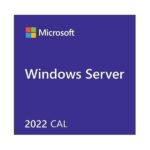 Dell Microsoft WS 2022 5CALs – User
