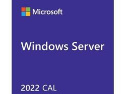 Dell Microsoft WS 2022 5CALs – User