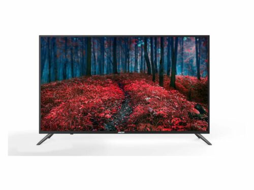 Modern TV with vibrant screen displaying a forest scene.