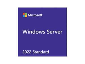 Microsoft Windows Server 2022 Standard 16-Core (DVD)