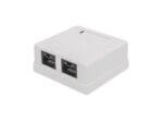 Acconet CAT6 Wall Box - Dual RJ45