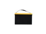 Sunnew 12V DC 100AH Lithium Iron Phosphate Battery