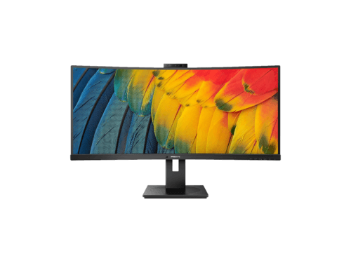 Curved monitor displaying colorful feathers.