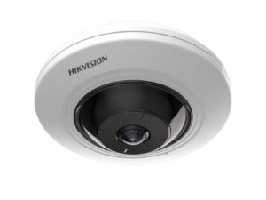 Hikvision 5MP Fixed Fish Eye Camera