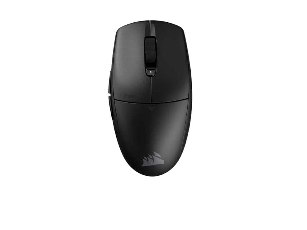 mouse