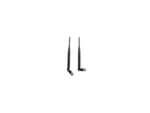 Acconet 2.4GHz - Dipole Antenna - 5dBi - SMA Male RP