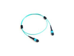 Acconet Patch Lead 12Core MPO Female to MPO Female 2M