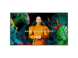 Samsung 65'' Professional Display - 4k Uhd/ 16/7 Usage