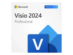 Microsoft Visio Pro 2024 - 1 device, PC Download