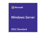 Microsoft Windows Server CAL 2022 Client Access License (CAL) - 1 User