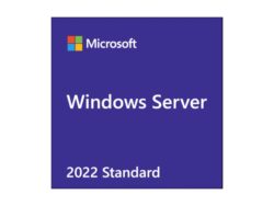 Microsoft Windows Server CAL 2022 Client Access License (CAL) - 1 User