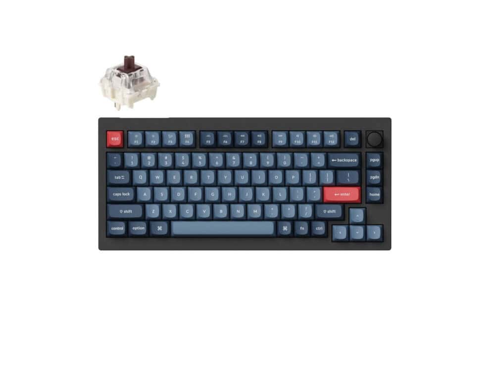 V1M-D3a