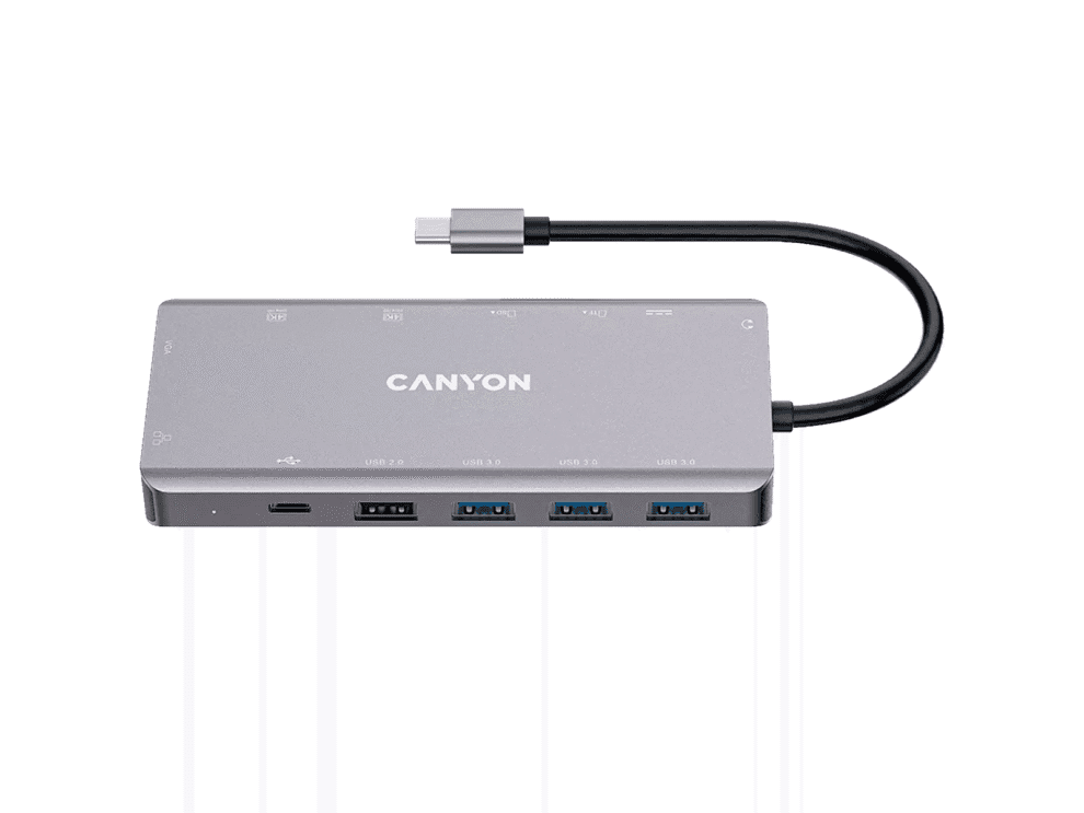 CNS-TDS12a