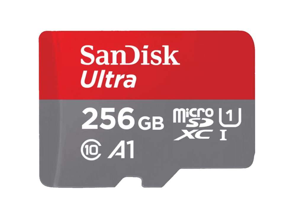 SDSQUAC-256G-GN6MNa