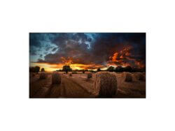 Samsung 55'' VM55B-U Ultra Narrow Bezel Video Wall