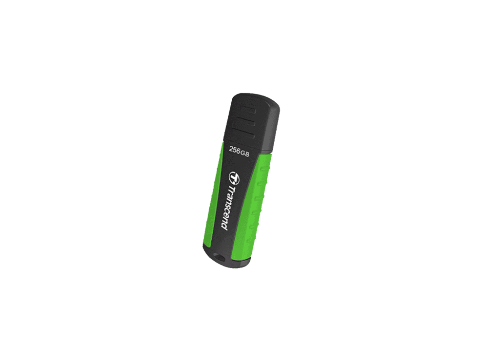 TS256GJF810a