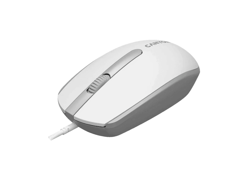 CNE-CMS10WGa