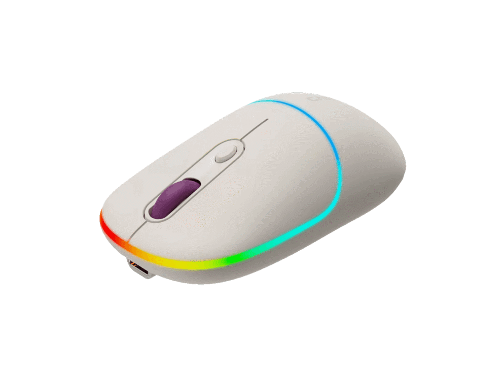 CNS-CMSW22RCa
