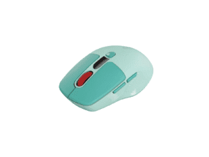 Canyon MW-26 LCD Silent Dual Mode Wireless Mouse – Green