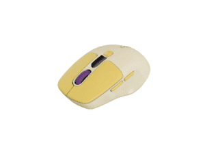 Canyon MW-26 LCD Wireless Mouse
