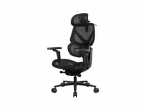 Thunderx3 Flex Pro Ergonomic Chair Mesh Black