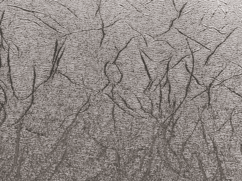 2005227 cricut premium vinyl permanent 30.5x122cm (textured metallic vinyl silver)