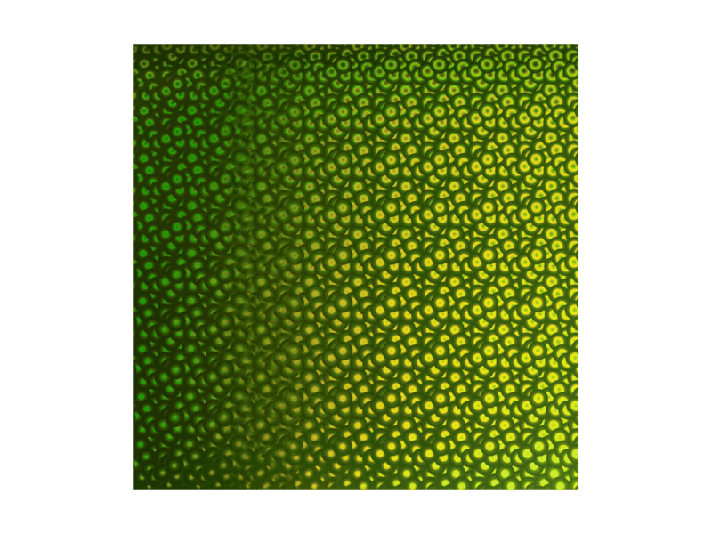 2006631 cricut premium vinyl holo art deco lemongrass 30.5x122cm