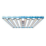 p55 800w 281b uv ir wr 03a.jpg