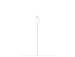 magsafe charger (1 m),model a3502