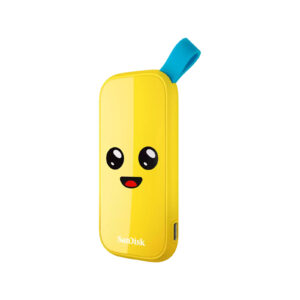 sdssde30 1t00 g25f 1ea4.jpg