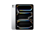 ipad pro 11 wf cl 2tb slnt ese